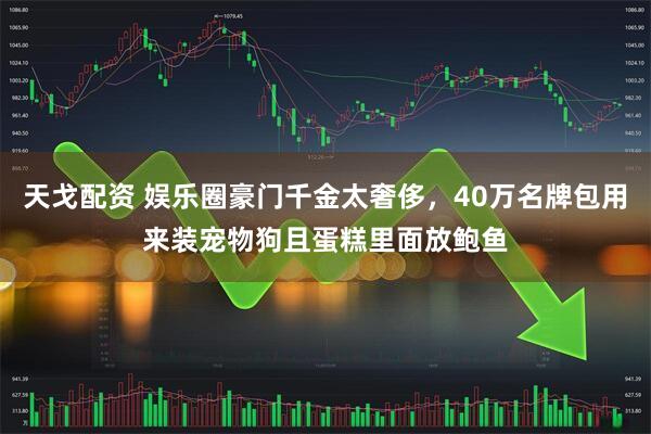 天戈配资 娱乐圈豪门千金太奢侈，40万名牌包用来装宠物狗且蛋糕里面放鲍鱼